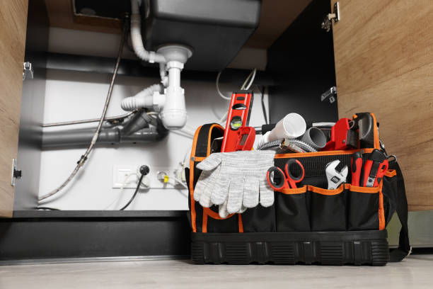 Best Clogged Drain Plumber  in Salamanca, NY